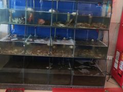 水产区-天天渔港海鲜酒家(石浦玉泉路店)
