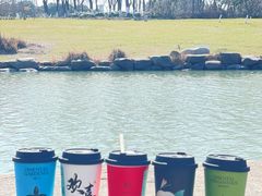 -九里河湿地公园