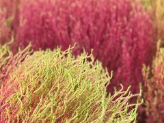 -汉长安城未央宫国家考古遗址公园