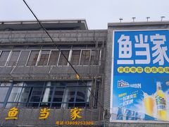 -水上鱼当家