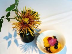 -蝶舍·MAISON PAPILLON