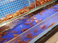 水产区-甄品麦哲伦海鲜和牛自助(万达广场店)