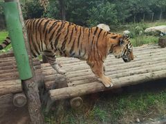 -西安秦岭野生动物园