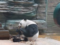 -西霞口神雕山野生动物世界