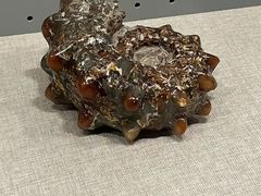 -辽宁古生物博物馆