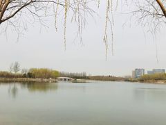 -大兴滨河森林公园