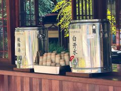 -庐山风景名胜区-东林大佛