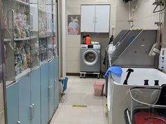 -北京观赏动物医院·24小时大型综合·猫专科·异宠专科