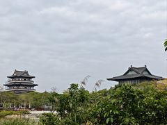 -海珠湖公园
