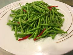 -丁老爷子苏香圆