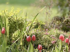 -上海市第八中学