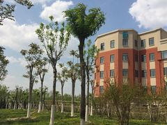 -南开大学滨海学院