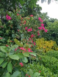 -北京市朝阳区妇幼保健院(南院区)