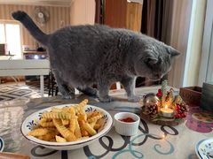 -Rabbit Cafe私房西餐甜点咖啡(栖霞路店)