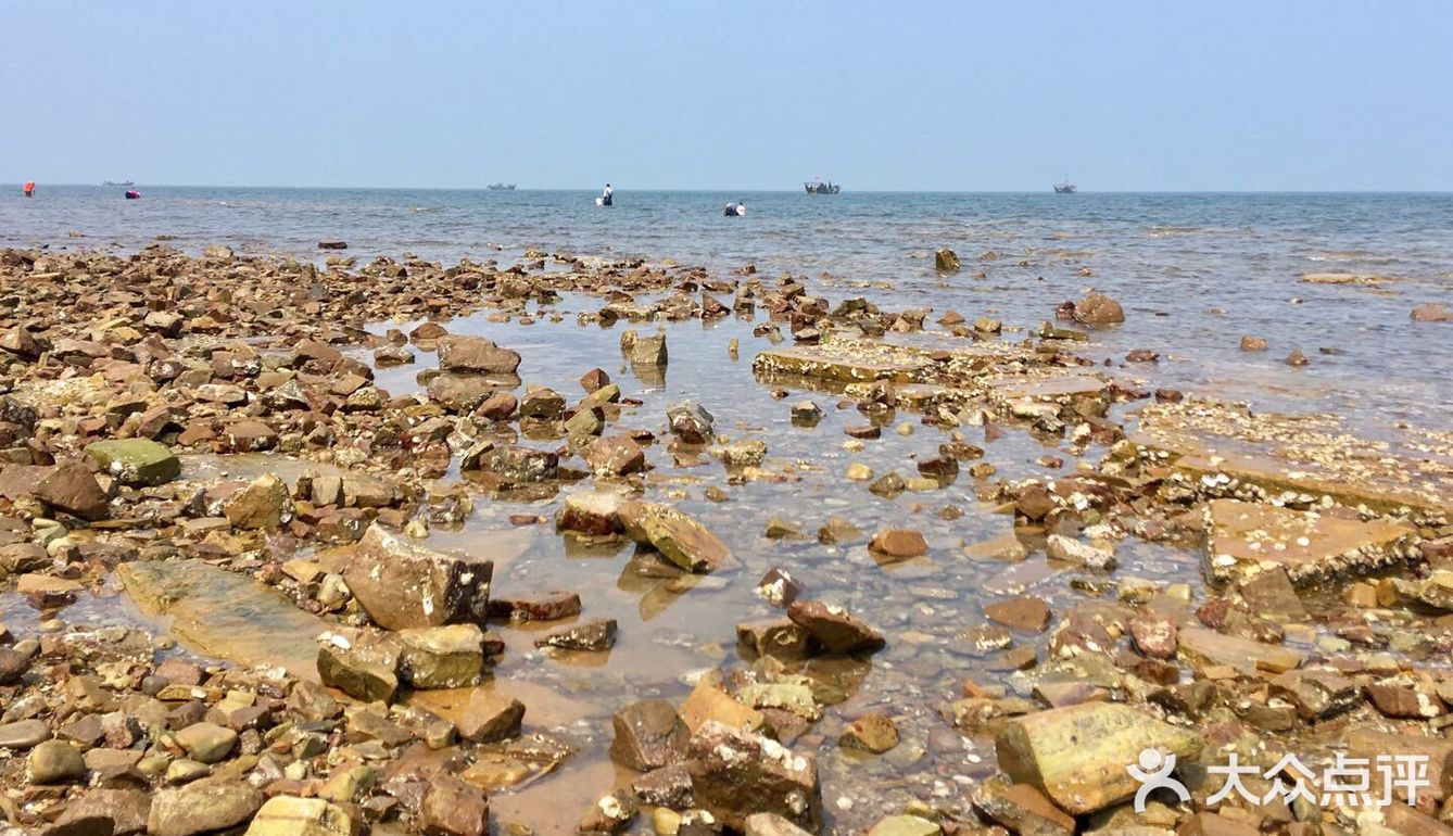 瓦房店大排石赶海