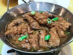 -丁老爷子苏香圆
