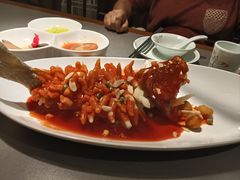 -姑苏家宴·苏帮菜·松鼠桂鱼(苏州总店)
