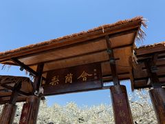 -江苏三台山国家森林公园