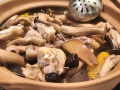 野生菌养生鸡煲-菌小白火锅(时尚天河店)