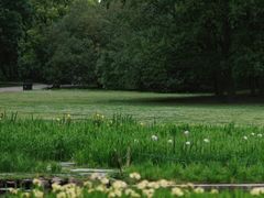 -上海共青森林公园