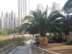 iphone_upload_pic-苏州河梦清园环保主题公园