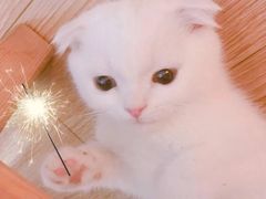 -大溪地量贩KTV(合肥1912店)