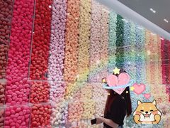 -天虹购物中心(石路店)