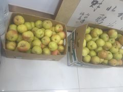 -沈阳市八家子水果批发市场