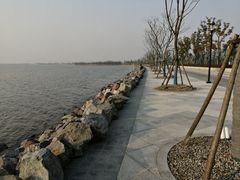 -南汇新城城市公园