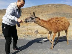 -新疆天山野生动物园