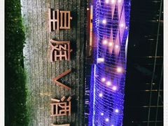 -深圳皇庭V酒店