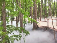 -东湖落雁景区
