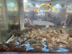 -皮记海鲜1995(寮步店)