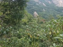 -象头山国家级自然保护区