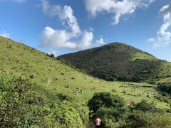 -大姆山草场