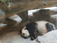 -宁波野生动物园