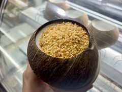 -椰爺爺·椰子冻砵仔糕