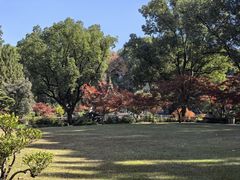 -申粤轩酒楼·三十年粤菜经典(丁香花园店)