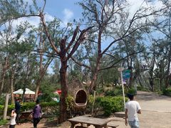 -漳州滨海火山岛自然生态风景区