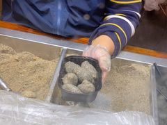 -叶氏麻糍(鼓浪屿店)
