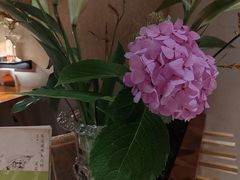 -陶享时光西餐·下午茶(信河街店)