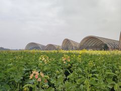 -中国天府农业博览园