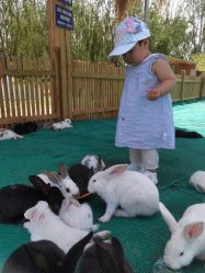 -萌宠亲子动物乐园(槐房万达店)