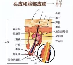 -Bollins波林丝•专研护发中心