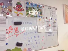 -东方启音·儿童康复中心·自闭症干预·语言迟缓·发育迟缓(深圳宝安中心)
