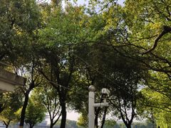 -苏州工业园区星湾学校