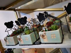 -花未央花店·WEYOUNG