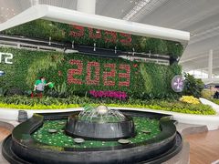 -广州白云国际机场-T2航站楼