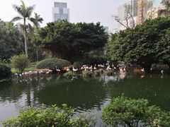 -九龙公园