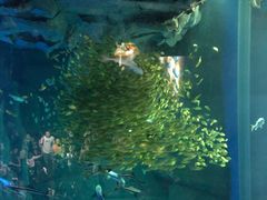 -成都浩海立方海洋公园